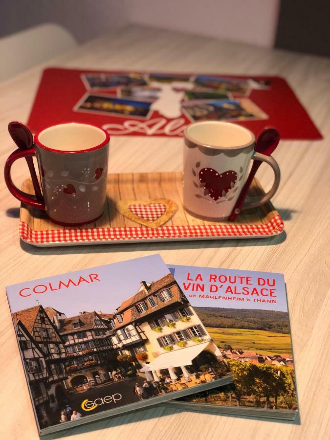 Djokovic'S Apartment Colmar Zewnętrze zdjęcie