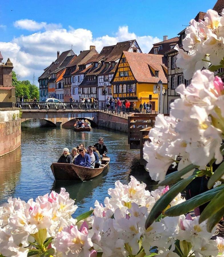 Djokovic'S Apartment Colmar Zewnętrze zdjęcie